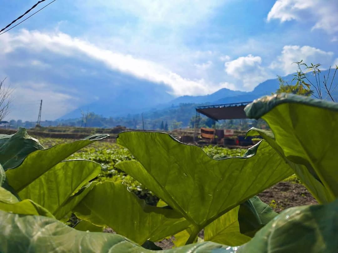 Sapafamily Eco Villa Bagian luar foto